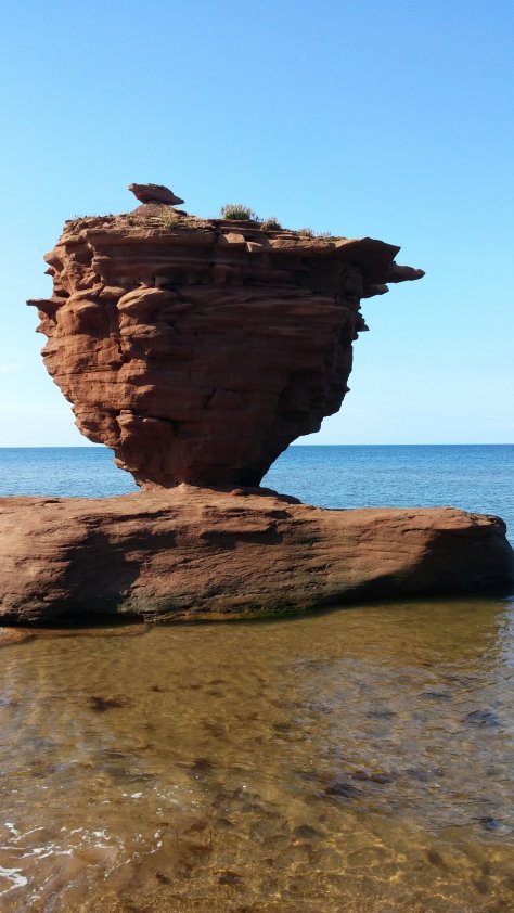 wp-image--1300501135