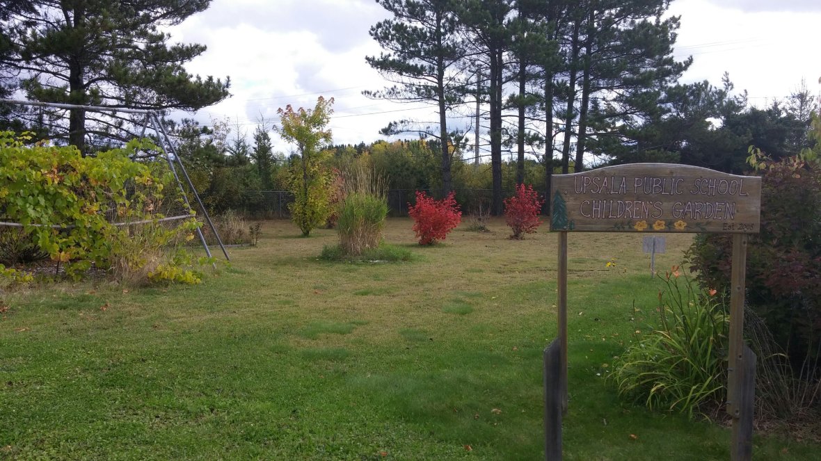 wp-image--1947039264